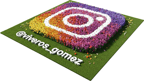 Síguenos en Instagram